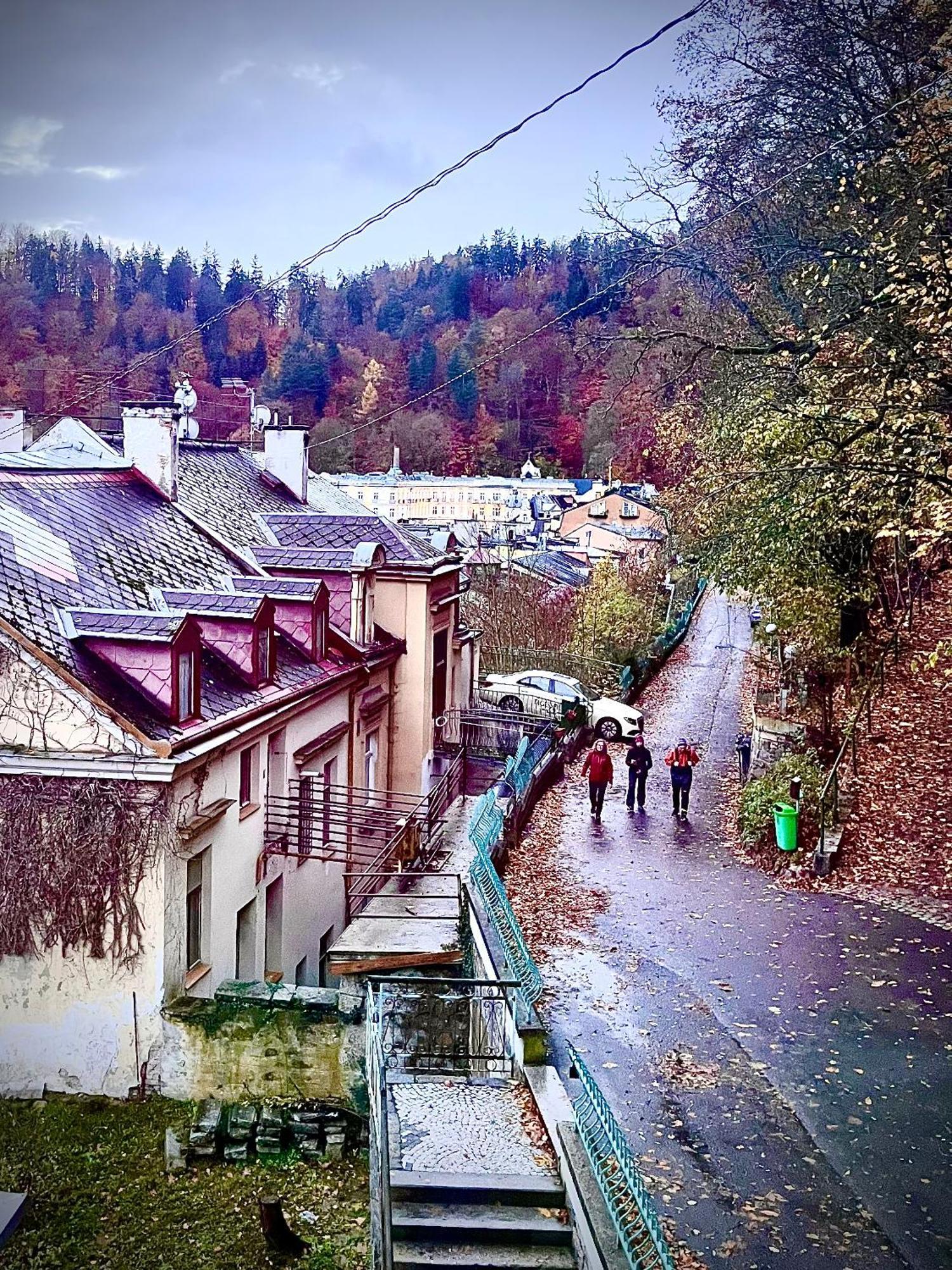 Bohemian City - Amazing View, Garage Карловы Вары Экстерьер фото